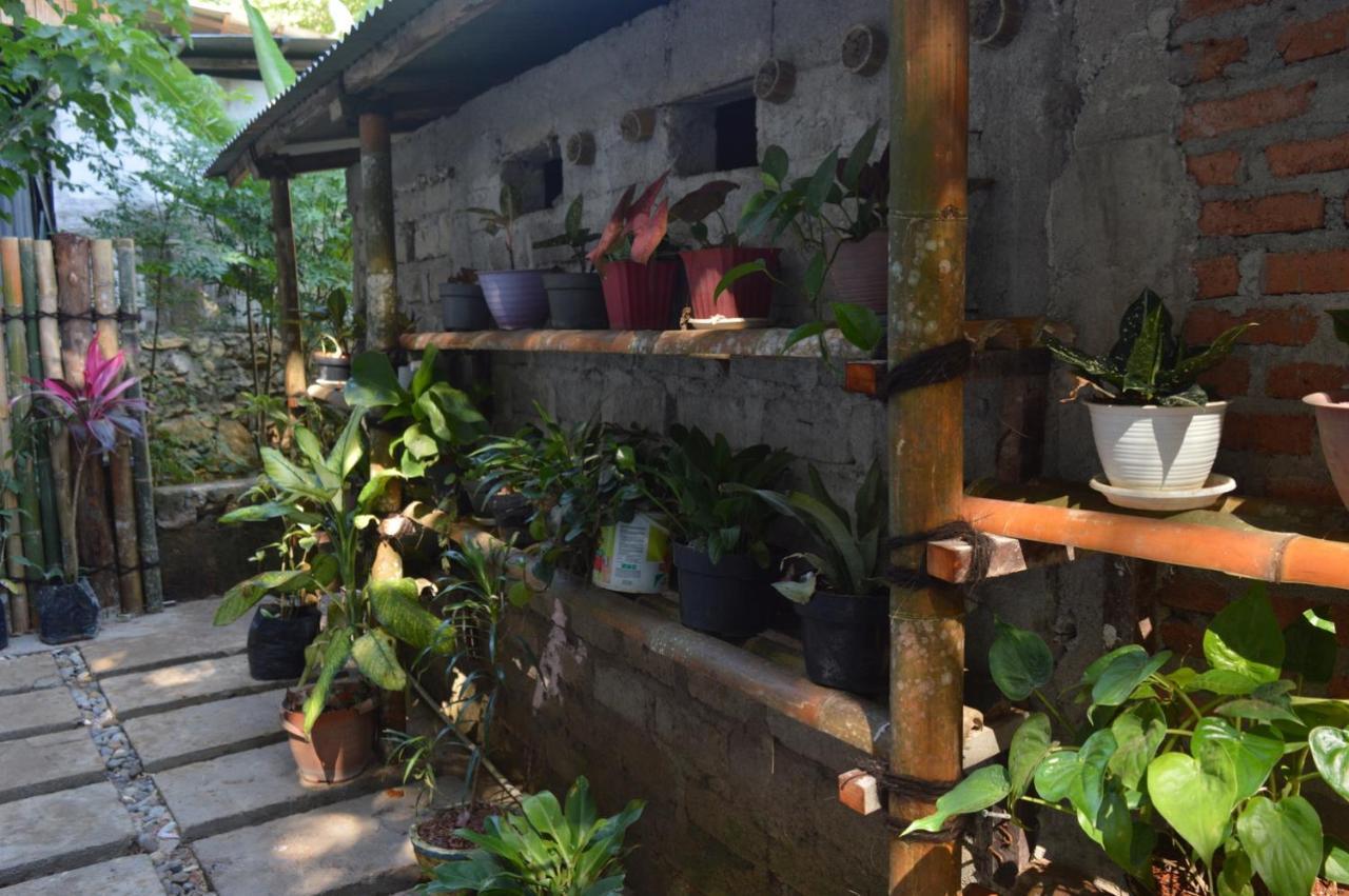 Labuan Bajo Mahoni Guesthouse Dış mekan fotoğraf